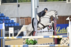 DAKITO P Hanoverian Jumper photo 7