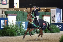 Take off Van’t Meulenhof Belgian Warmblood Equitation photo 6