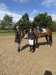 Innovate HBF Dutch Warmblood Jumper photo 4