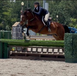 Love Language Irish Sport Horse Jumper photo 2