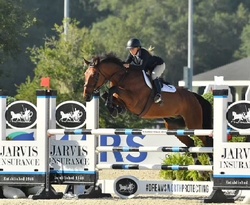 Tyamo Zangersheide Jumper photo 1