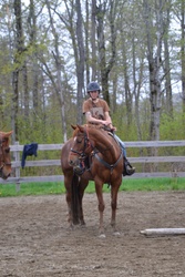 Best Be Better Appendix Hunter photo 7