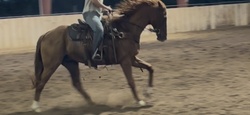 Kubo Cat TB Equitation photo 1