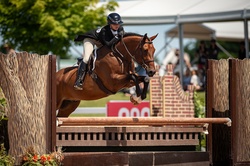Cassadino Canadian Warmblood Jumper photo 2
