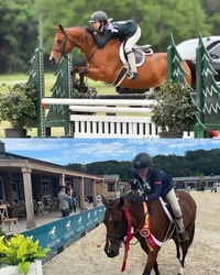 Amor De Tortuga Other Breed Hunter photo 2