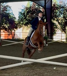 Mulberry Magic “Boba” Welsh Cross Jumper photo 5
