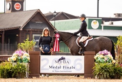 Home Run Bound Welsh Cross Hunter photo 6