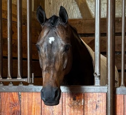 Cordell Oldenburg Hunter photo 3