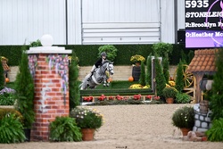 Stoneleigh Welsh Cross Hunter photo 6