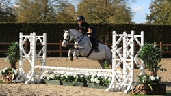 Zazou Other Breed Hunter photo 5