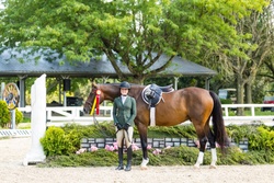Highgate Westphalian Hunter photo 2