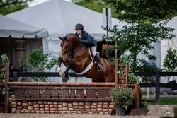 Forissimo *NEW VIDEO* German Warmblood Hunter photo 1