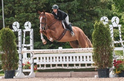 Archetype Oldenburg Hunter photo 1