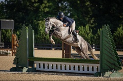 Love Is Forever TB Jumper photo 6