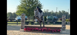 Love Is Forever TB Jumper photo 4