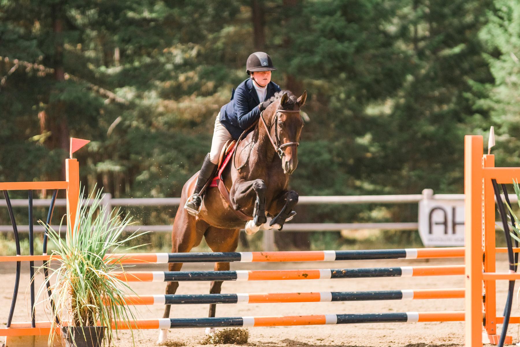 Island Girl Thoroughbred Jumper