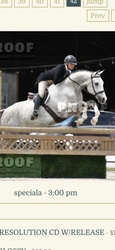 Esoteric Hanoverian Hunter photo 2