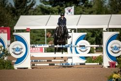 Olympic Air Dutch Warmblood Jumper photo 6