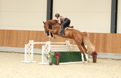 Lord Oldenburg Hunter photo 4