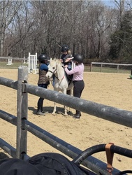 Pea Pod Welsh Pony Hunter photo 4