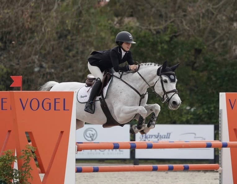 Karlijn De Mariposa2010 16 handBelgian Warmblood MareFlorida, USAInquire for Sale PriceInquire for Lease Price