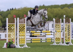 Tissot Z Zangersheide Equitation photo 1