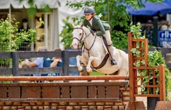 Arnaby Cassanova Welsh Cross Jumper photo 1