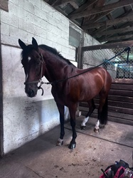 DJ Oldenburg Hunter photo 2