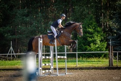 Charlie Holsteiner Jumper photo 5