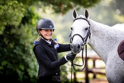 Glencameron's Navy Boy Welsh Cob Hunter photo 5