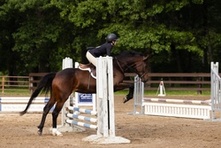 Wicked Americano Hanoverian Jumper photo 3