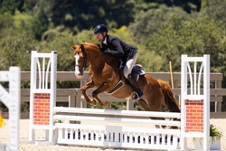*Drogheda Animal Crackers Connemara Jumper photo 1