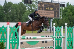 Olivia de la Fresniere Belgian Warmblood Jumper photo 1