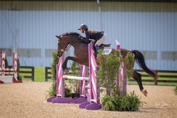 Quarter Sinclaire Hanoverian Jumper photo 1