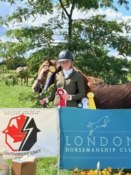 Golden Dream PF German Riding Pony Hunter photo 4