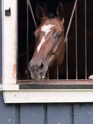 Lottie Paint Hunter photo 5