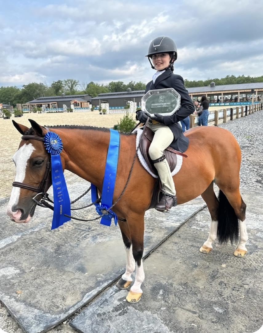 Rosmel's Fairy Glow Welsh Pony Hunter
