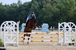 OJOTTIE WB Warmblood Jumper photo 3