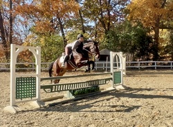 CMS Think Big Warmblood Hunter photo 1