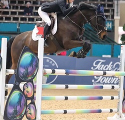 Clintina Oldenburg Jumper photo 3