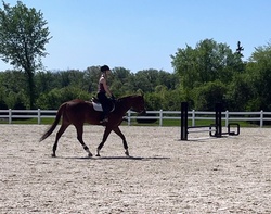 Mr. Jones TB Hunter photo 2