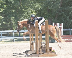 D.F. I've Got Rhythm Welsh Pony Hunter photo 4