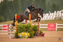 Olympic Air Dutch Warmblood Jumper photo 1