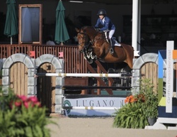 Lui Hanoverian Jumper photo 4
