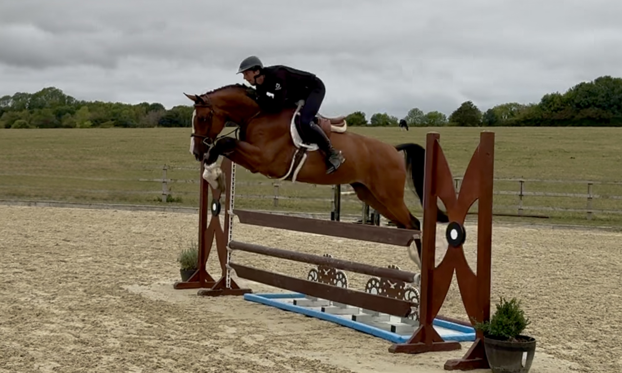 Equiporium Sensation