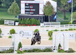Stonegate Raindrop Welsh Pony Hunter photo 5