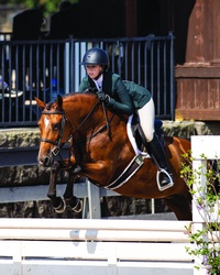 Joly’s Gella New Forest Pony Hunter photo 1