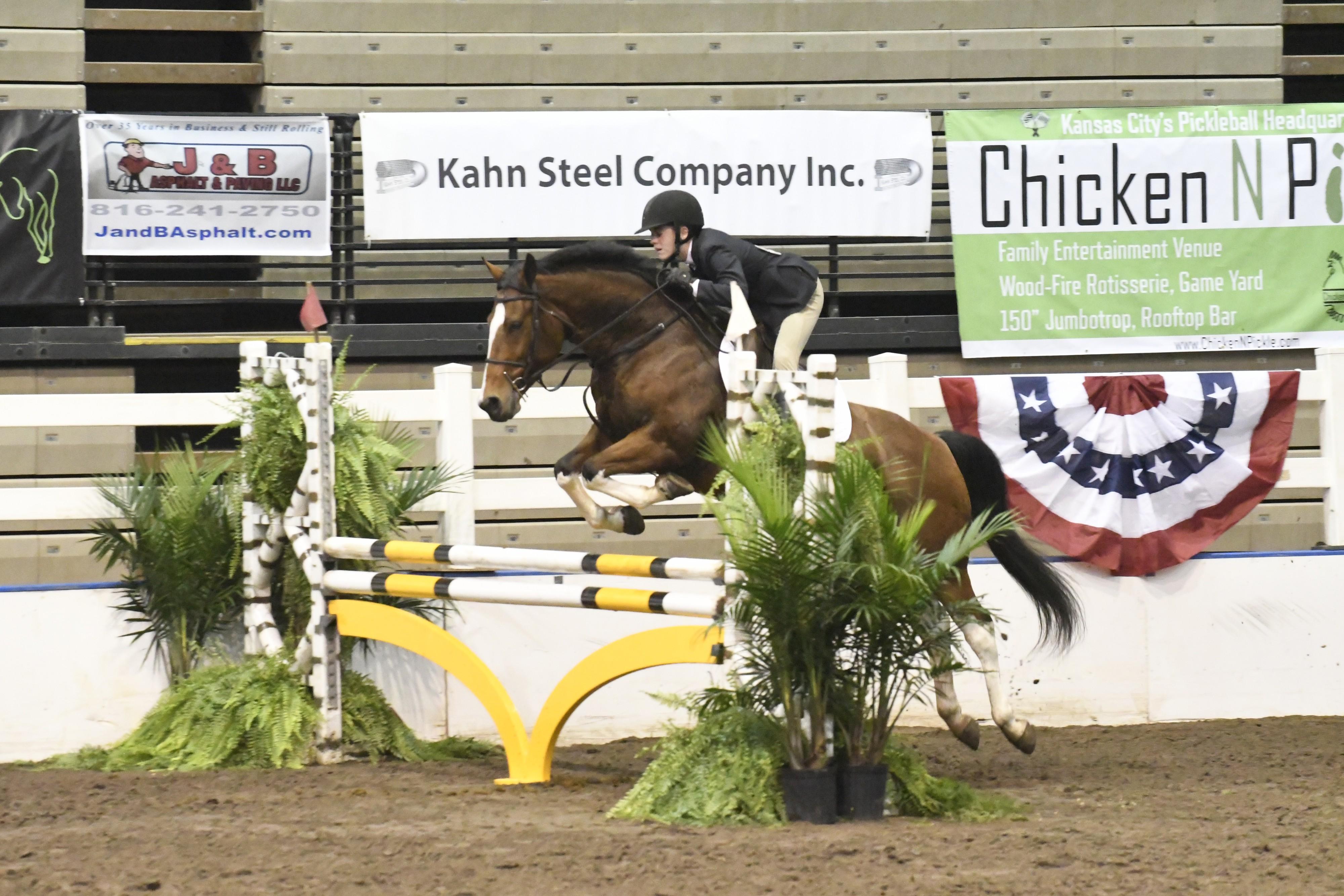 Delta’s Holistar Quarter Horse Jumper