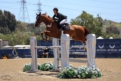 Raspberry Beret Belgian Warmblood Jumper photo 8