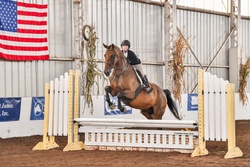 Al Dente Warmblood Hunter photo 1